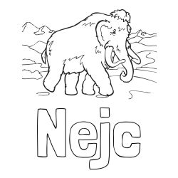 Pobarvanka imena Nejc