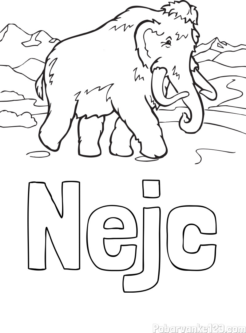 Pobarvanka imena Nejc