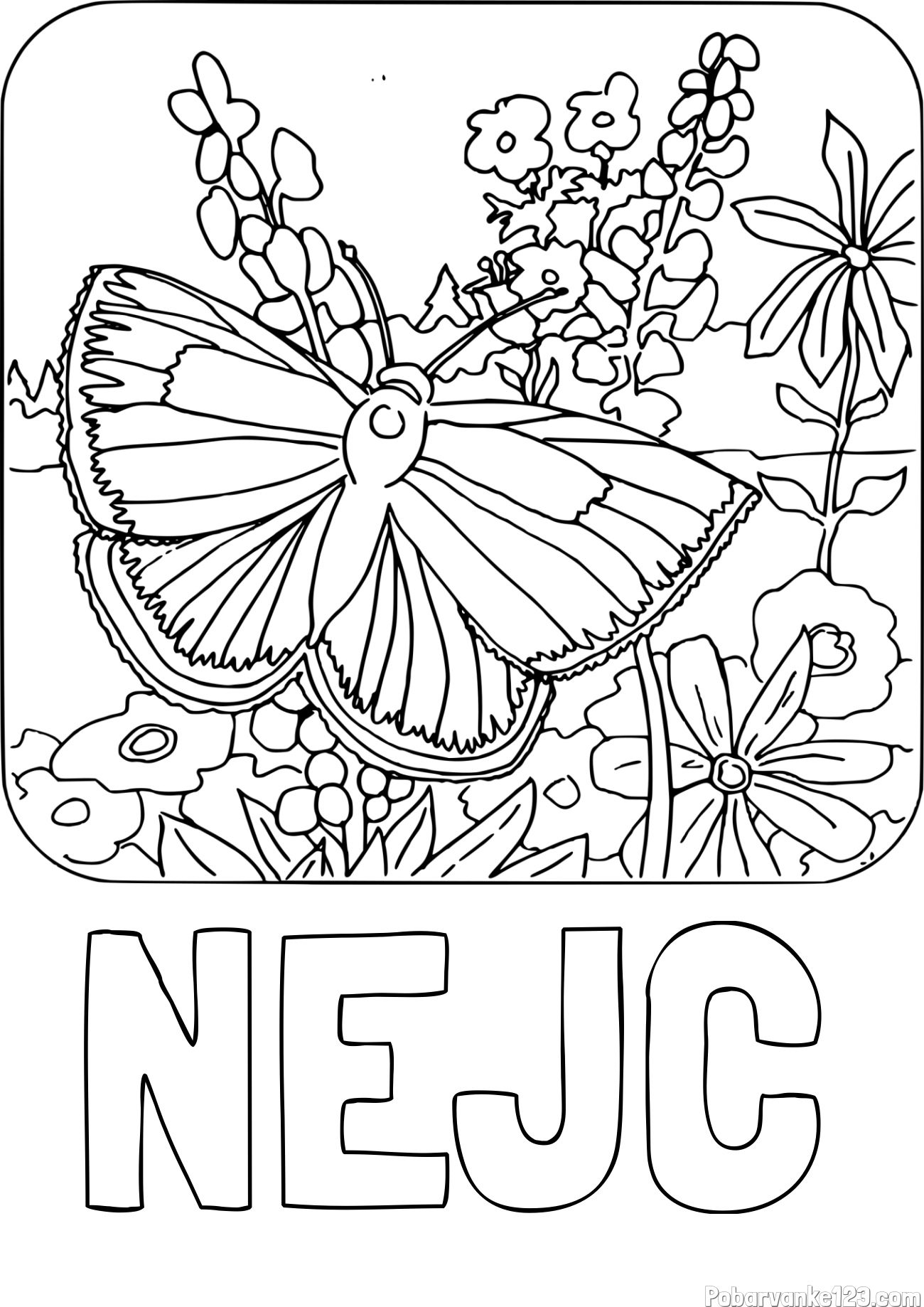 Pobarvanka imena NEJC in pobarvanka metulja v naravi