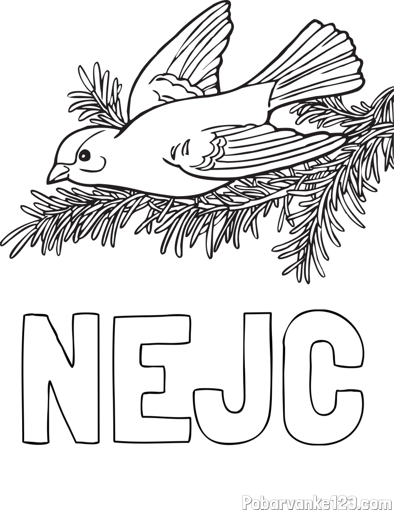 Pobarvanka imena NEJC in pobarvanka ptice na vejici