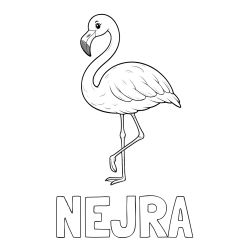 Online izdelana pobarvanka - Pobarvanka imena NEJRA in pobarvanka flaminga