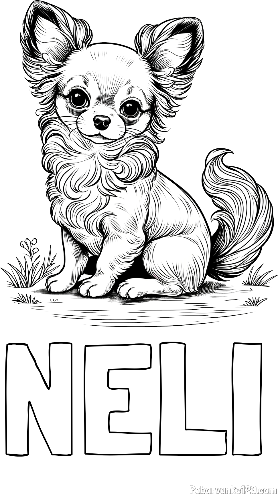 Pobarvanka imena NELI in pobarvanka ljubke čivave