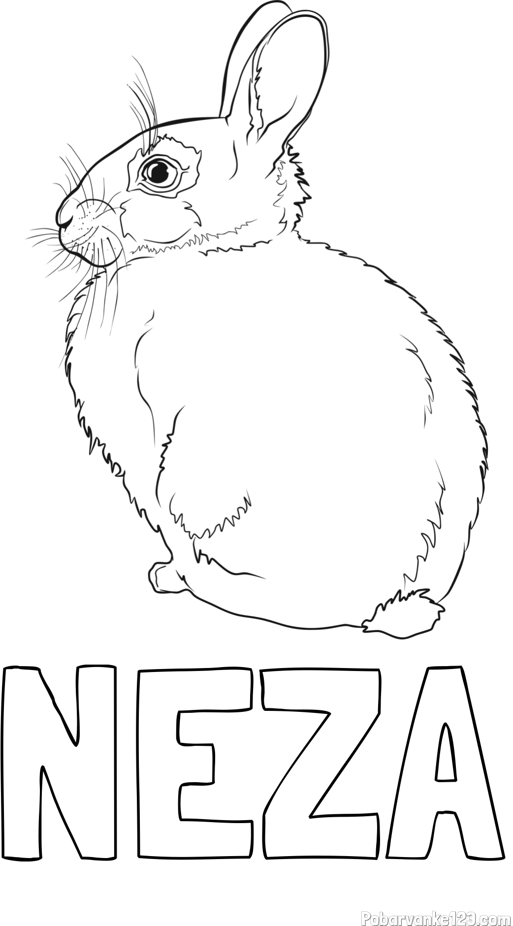 Pobarvanka imena NEŽA in pobarvanka debelega zajca