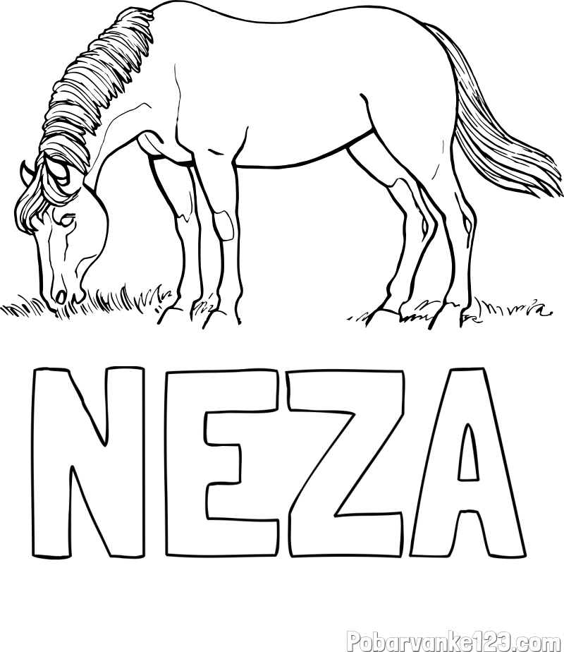 Pobarvanka imena NEŽA in pobarvanka konja med pašo