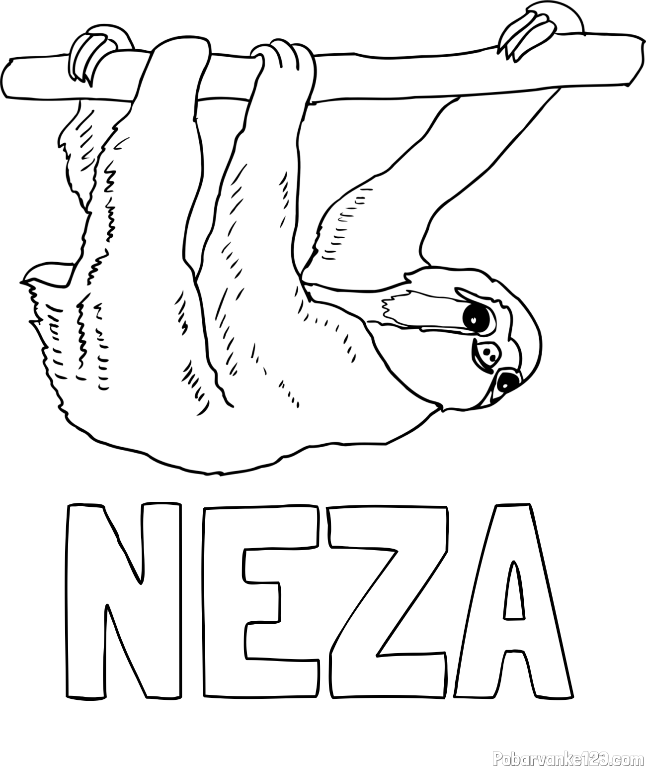 Pobarvanka imena NEŽA in pobarvanka lenivca