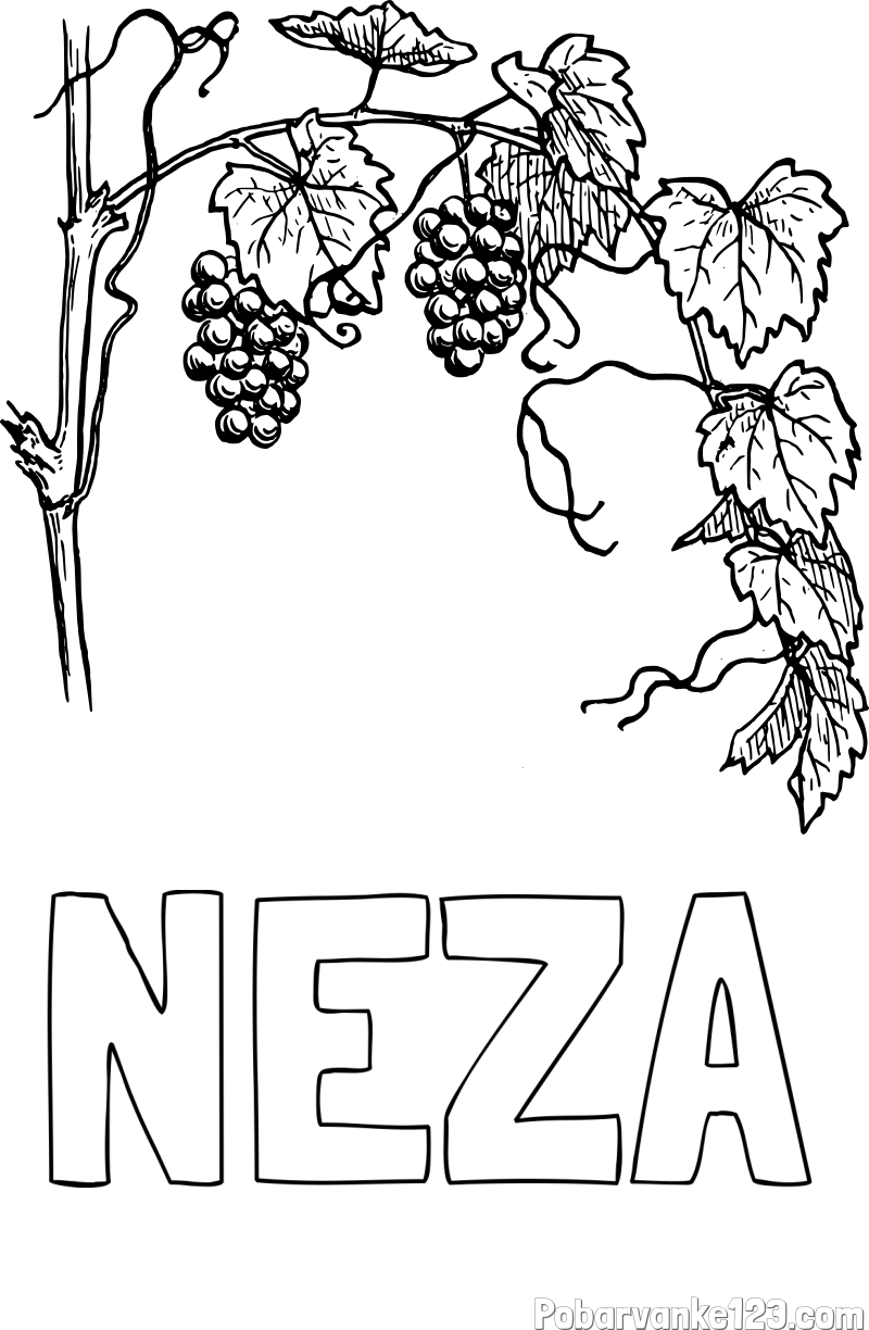 Pobarvanka imena NEŽA in pobarvanka vinske trte
