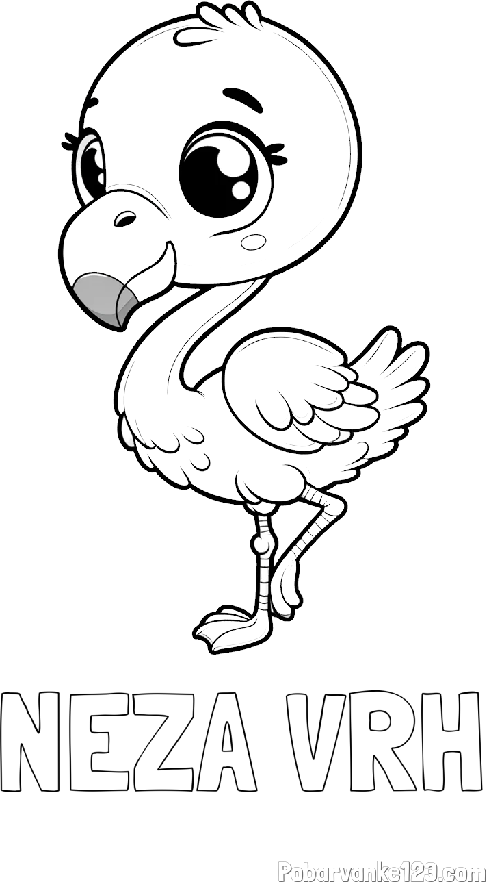 Pobarvanka imena NEŽA VRH in otroška pobarvanka flaminga