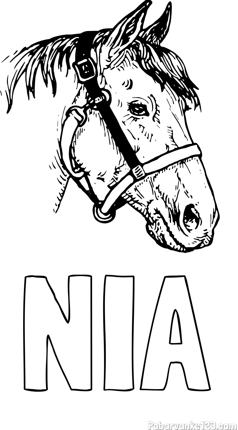 Pobarvanka imena NIA in konjska glava