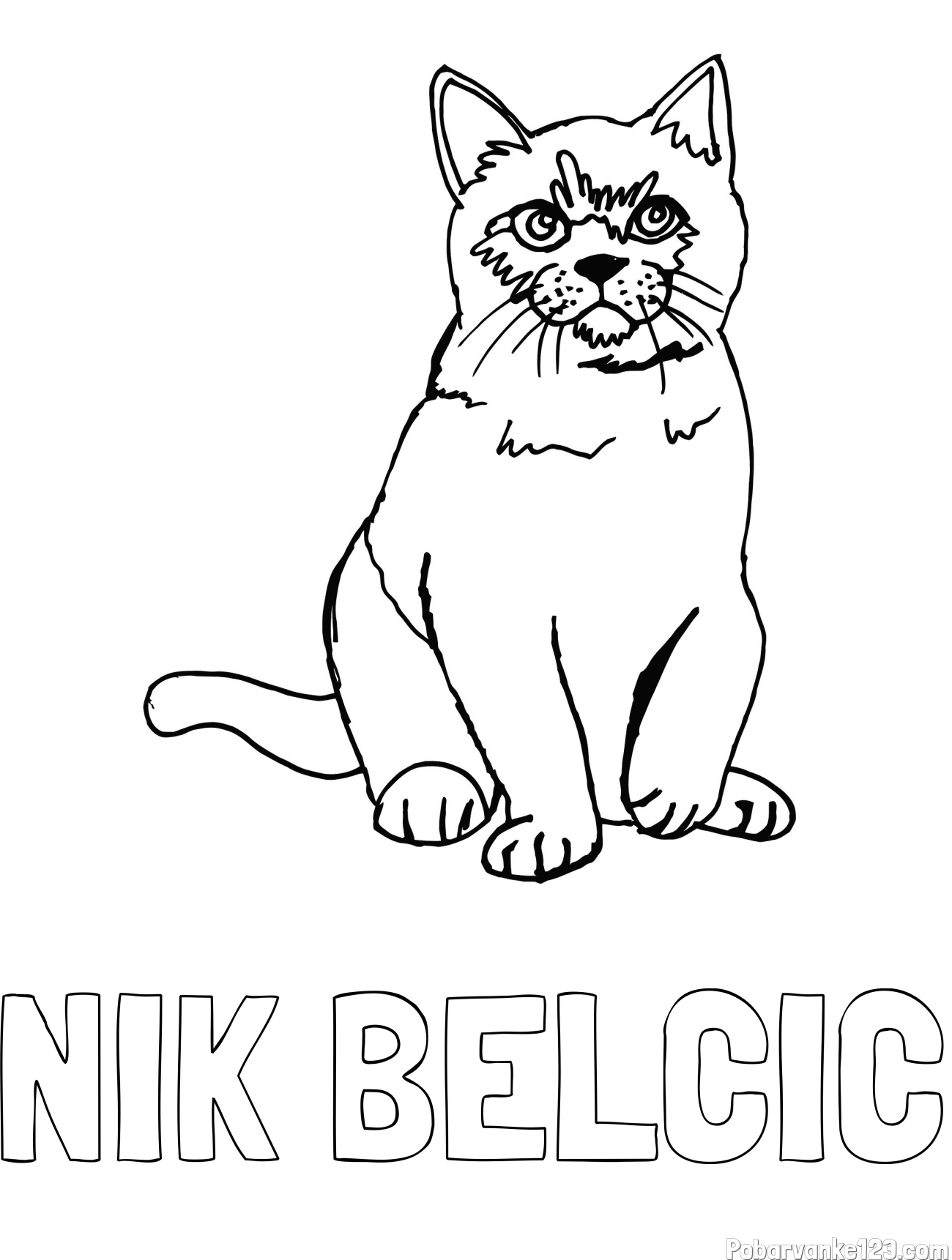 Pobarvanka imena NIK BELČIČ in pobarvanka lepe mucke