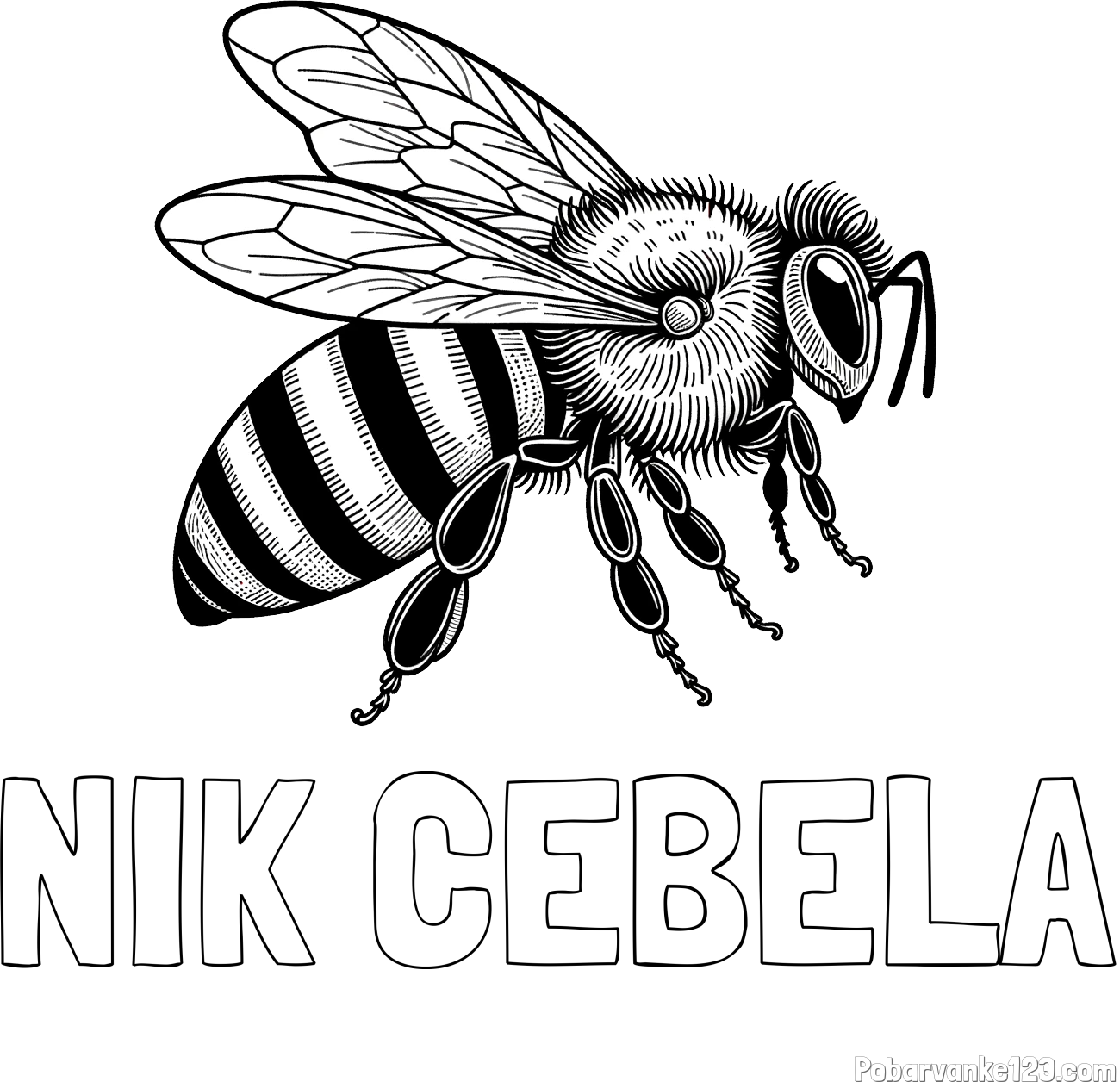 Pobarvanka imena NIK ČEBELA in pobarvanka realistične čebele