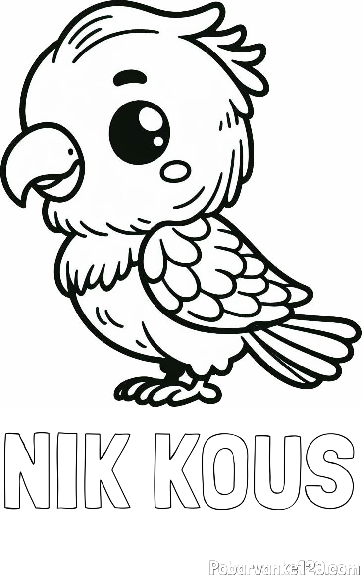 Pobarvanka imena NIK KOUS in pobarvanka ljubkega papagaja