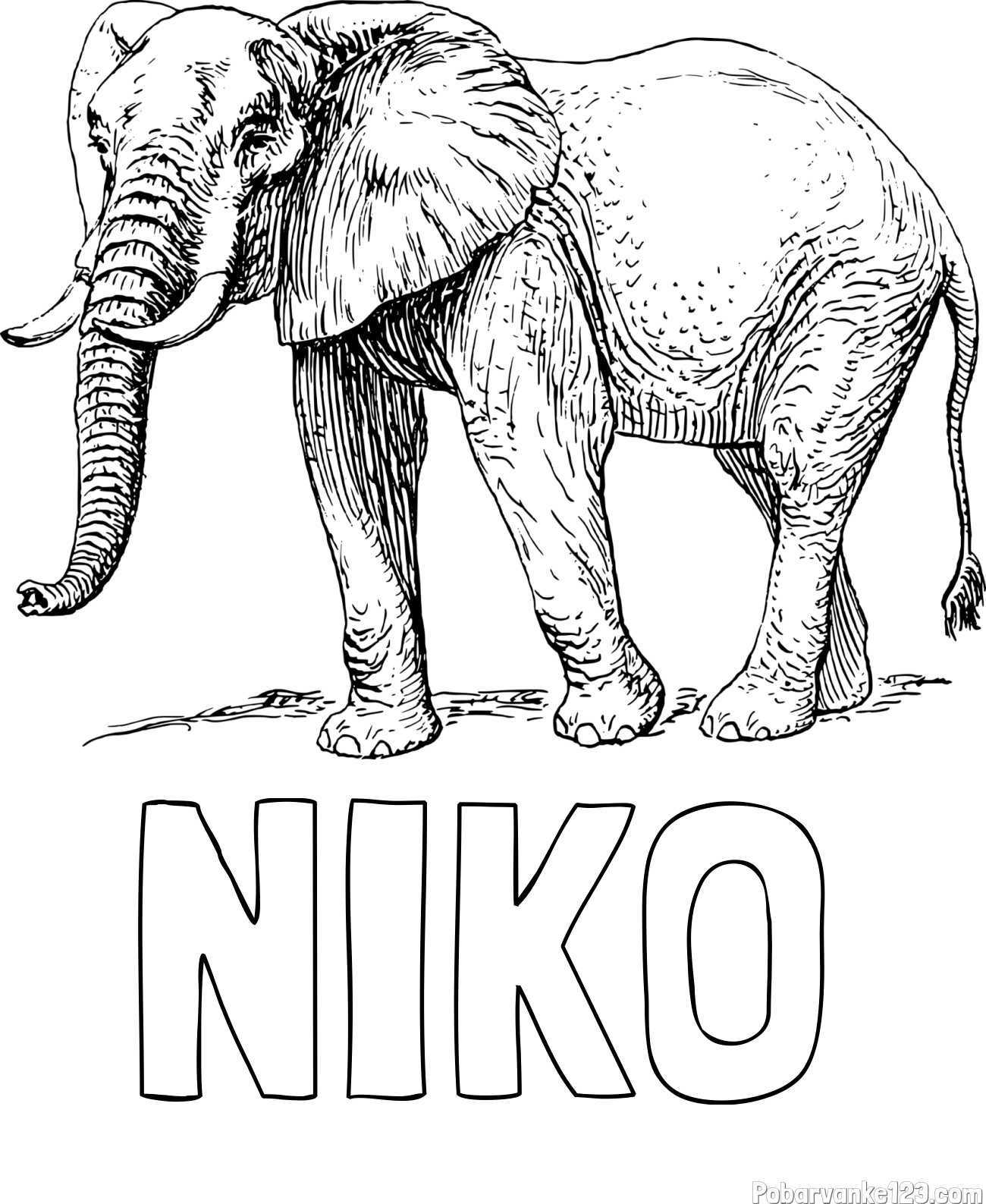 Pobarvanka imena NIKO in pobarvanka mogočnega slona
