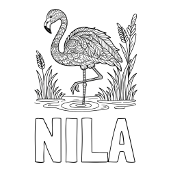 Online izdelana pobarvanka - Pobarvanka imena NILA in pobarvanka flaminga z abstraktnimi vzorci