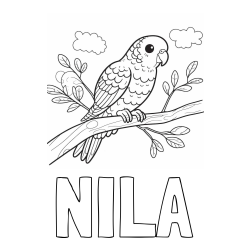 Online izdelana pobarvanka - Pobarvanka imena NILA in pobarvanka ljubkega kanarčka na veji