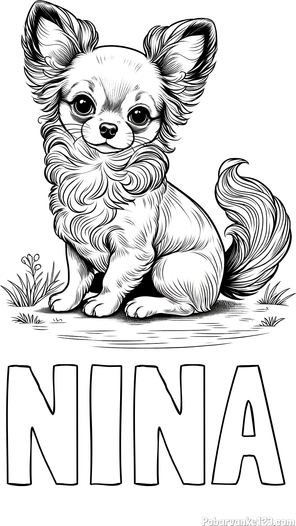 Pobarvanka imena NINA in pobarvanka ljubke čivave