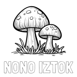 Online izdelana pobarvanka - Pobarvanka imena NONO IZTOK in pobarvanka dveh gob