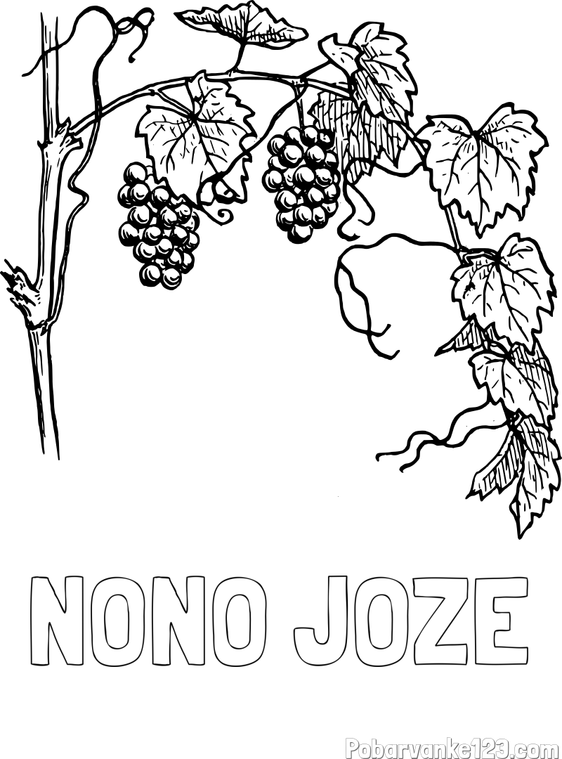 Pobarvanka imena NONO JOŽE in pobarvanka vinske trte
