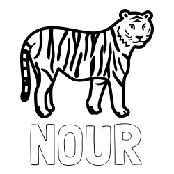 Online izdelana pobarvanka - Pobarvanka imena NOUR in otroška pobarvanka tigra