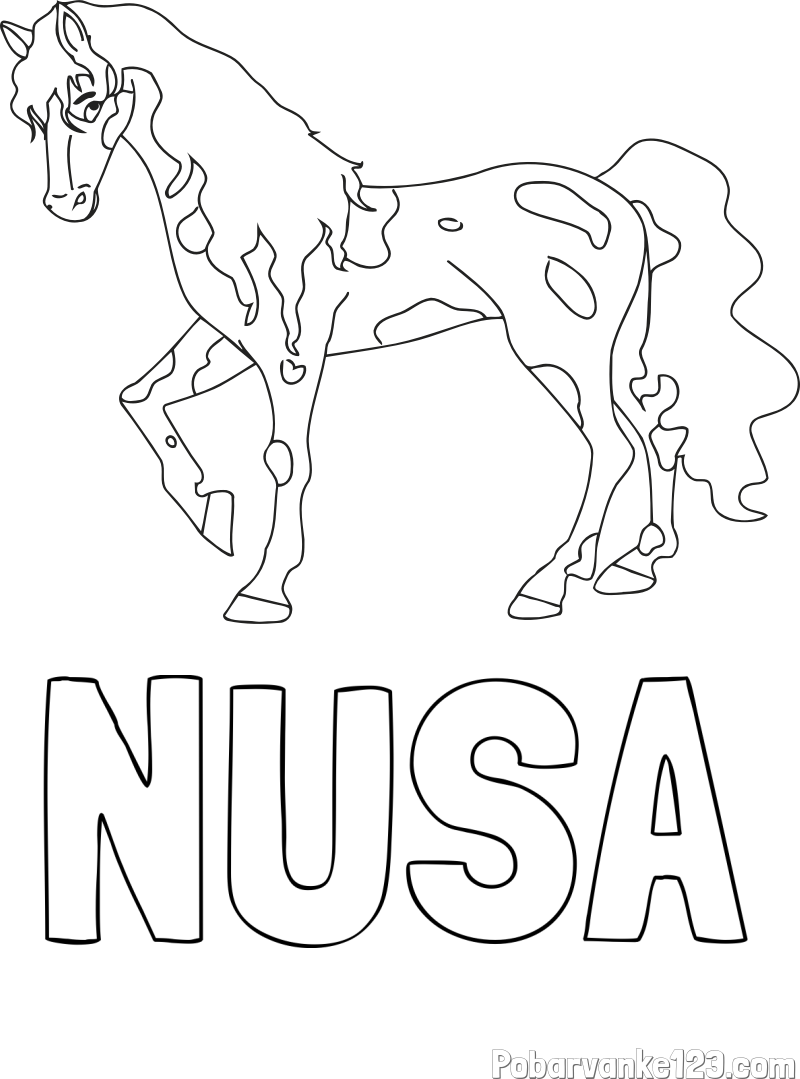 Pobarvanka imena NUŠA in pobarvanka lisastega konja