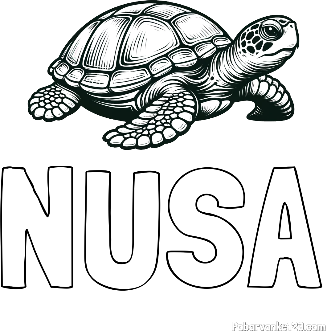 Pobarvanka imena NUŠA in pobarvanka velike želve
