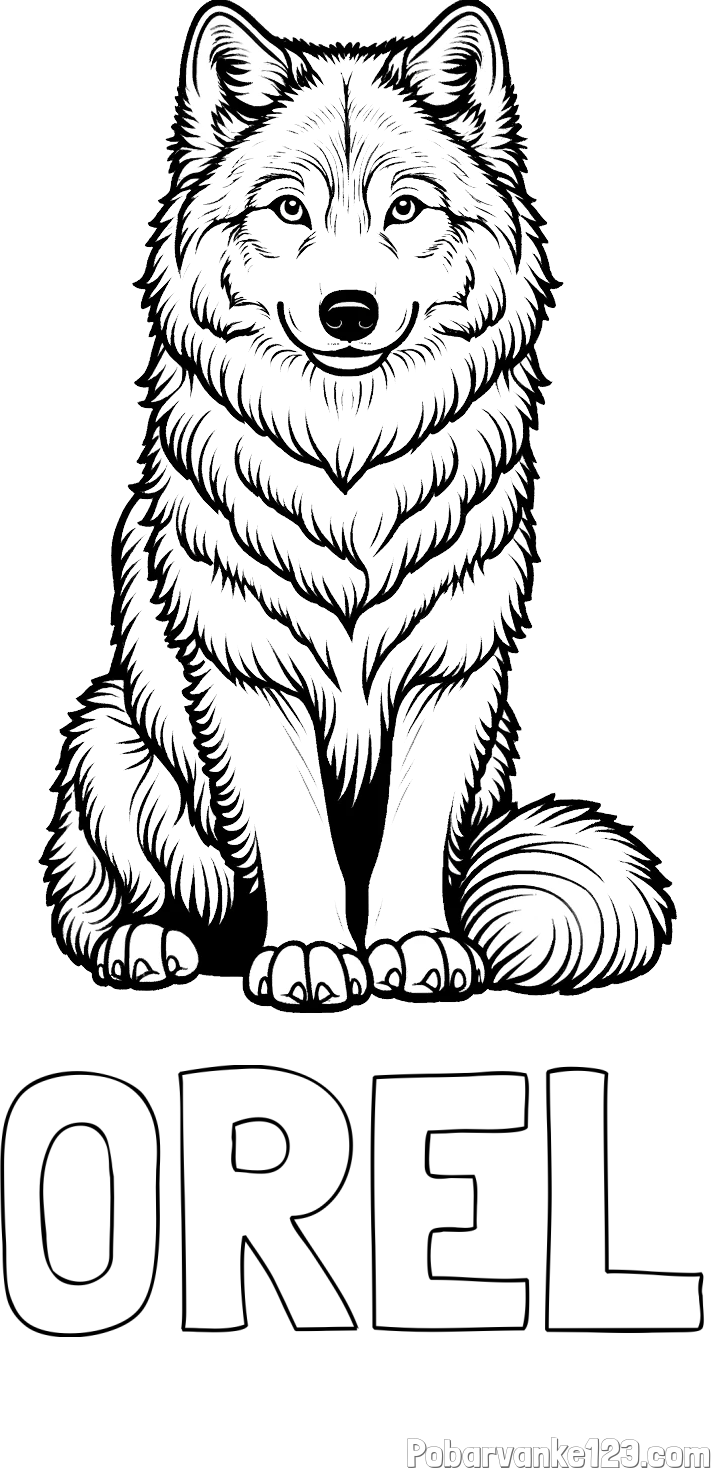 Pobarvanka imena OREL in pobarvanka prijaznega volka