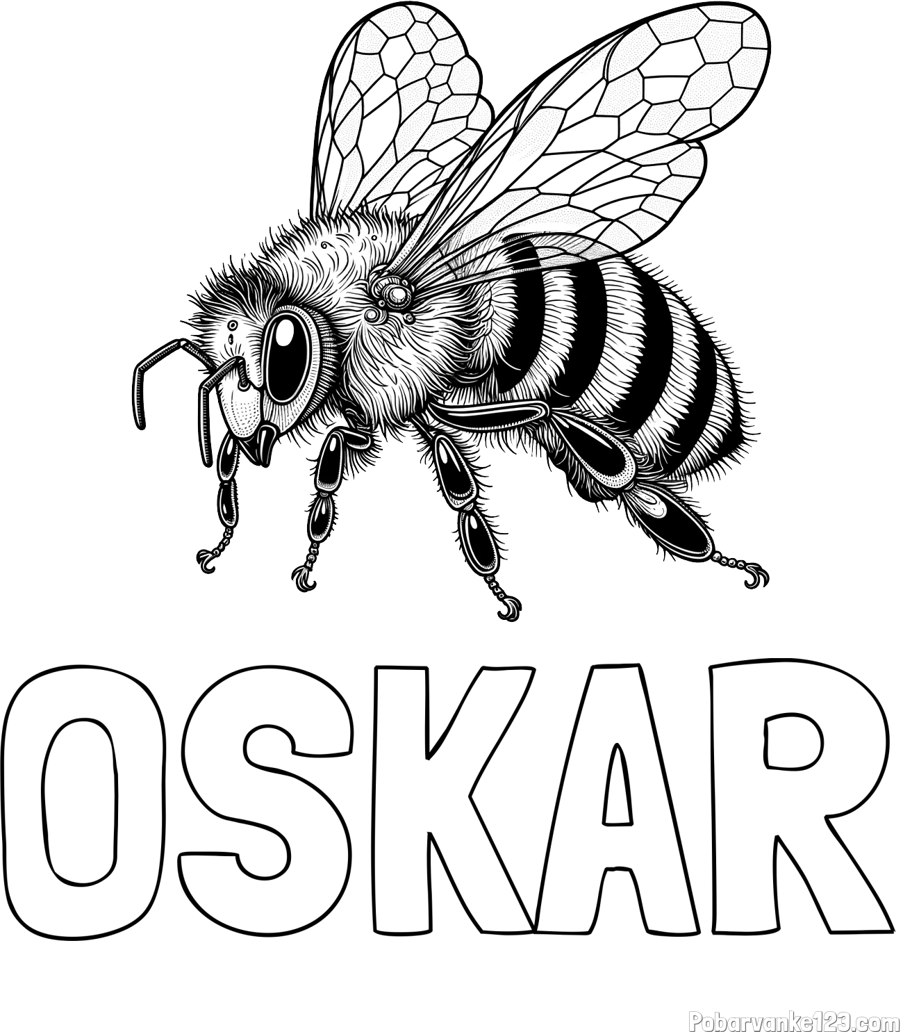 Pobarvanka imena OSKAR in pobarvanka lepe in realistično oblikovane čebele