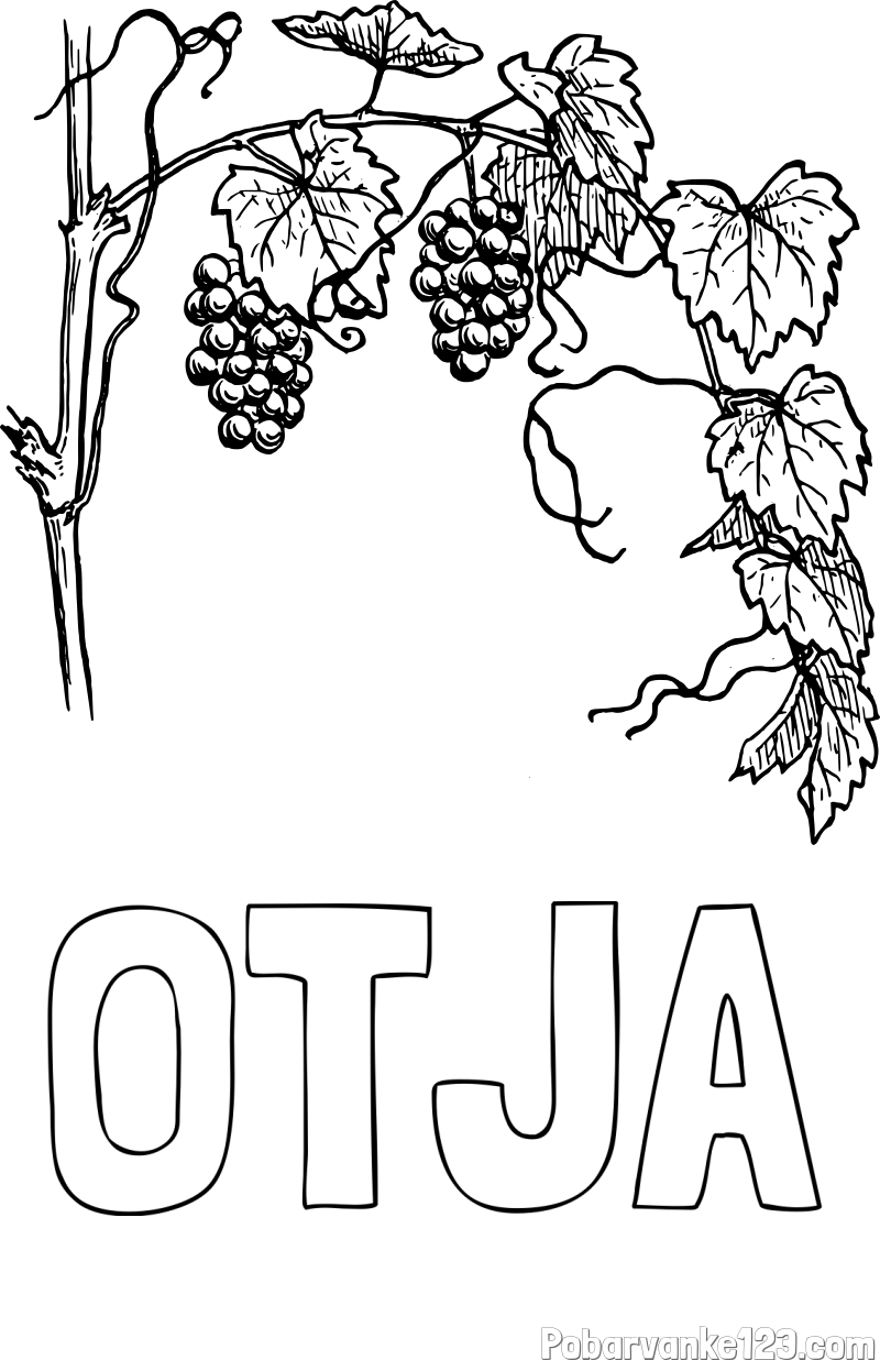 Pobarvanka imena OTJA in pobarvanka vinske trte
