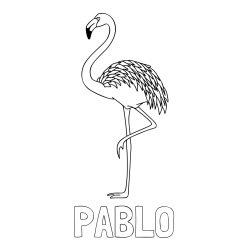 Pobarvanka imena PABLO in pobarvanka flaminga, ki stoji na eni nogi
