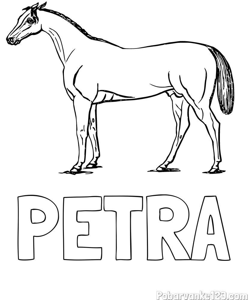 Pobarvanka imena PETRA in pobarvanka konja