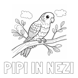 Online izdelana pobarvanka - Pobarvanka imena PIPI IN NEŽI in pobarvanka ljubkega kanarčka na veji