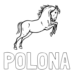 Pobarvanka imena POLONA in pobarvanka konja v skoku