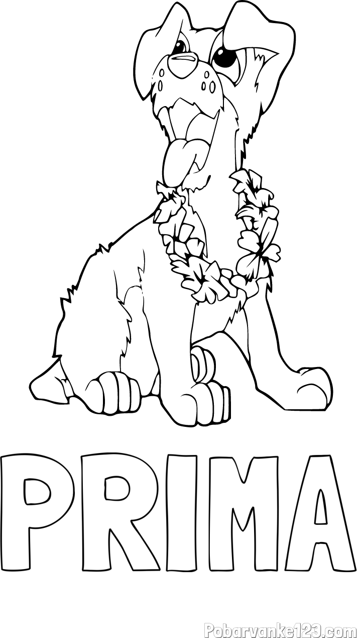 Pobarvanka imena PRIMA in pobarvanka kužka