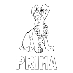 Online izdelana pobarvanka - Pobarvanka imena PRIMA in pobarvanka kužka