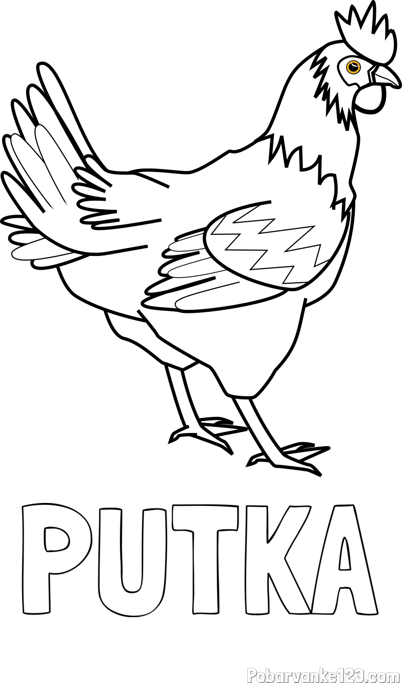 Pobarvanka imena PUTKA in pobarvanka kokoške