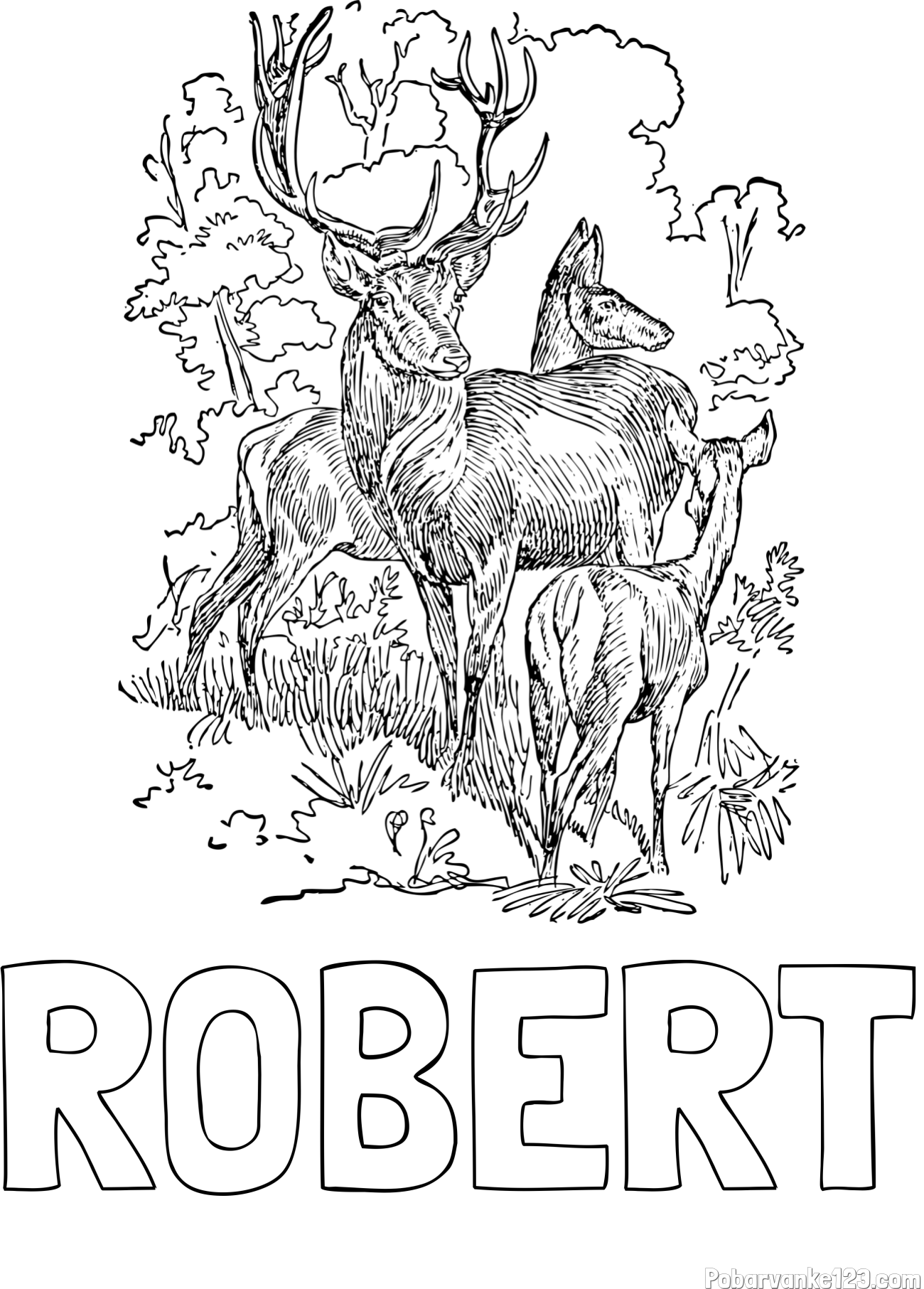Pobarvanka imena ROBERT in pobarvanka jelena, srne ter mladička