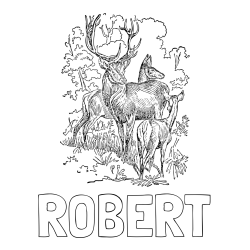 Online izdelana pobarvanka - Pobarvanka imena ROBERT in pobarvanka jelena, srne ter mladička