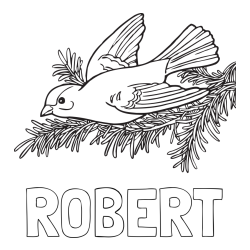 Online izdelana pobarvanka - Pobarvanka imena ROBERT in pobarvanka ptice na vejici