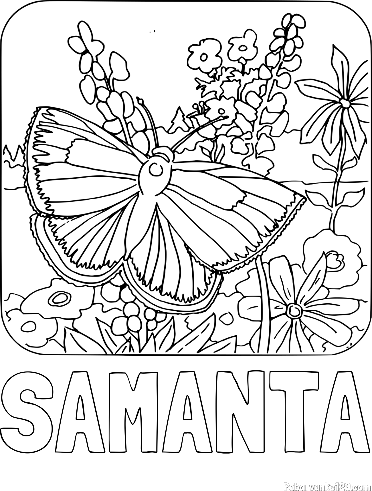 Pobarvanka imena SAMANTA in pobarvanka metulja v naravi