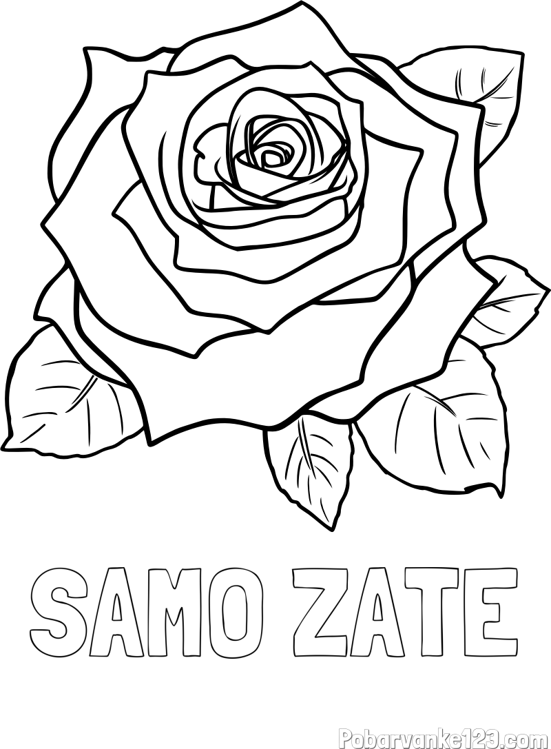 Pobarvanka imena SAMO ZATE in pobarvanka vrtnice