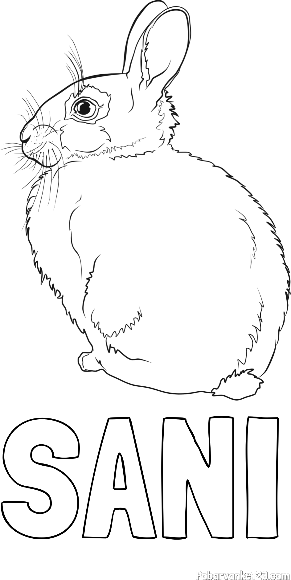 Pobarvanka imena SANI in pobarvanka debelega zajca