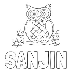 Pobarvanka imena SANJIN