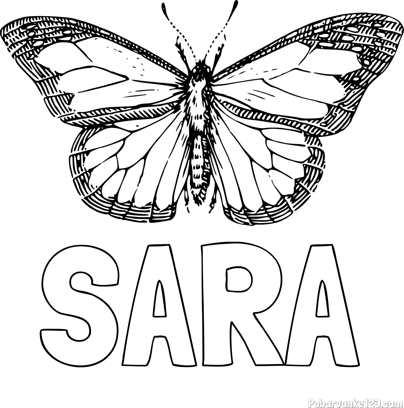 Pobarvanka imena SARA in pobarvanka metulja