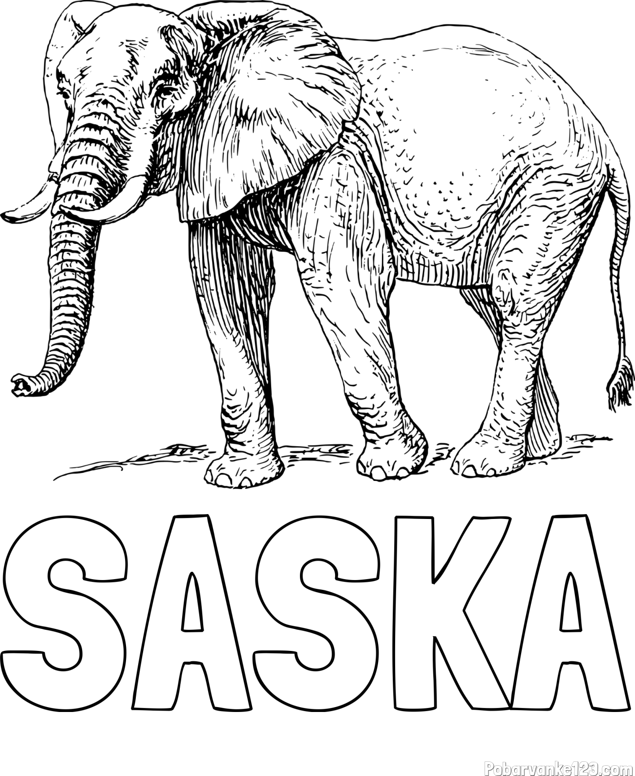 Pobarvanka imena SAŠKA in pobarvanka mogočnega slona