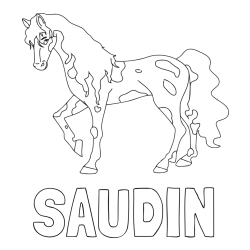 Online izdelana pobarvanka - Pobarvanka imena SAUDIN in pobarvanka lisastega konja