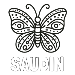 Online izdelana pobarvanka - Pobarvanka imena SAUDIN in preprosta pobarvanka metulja