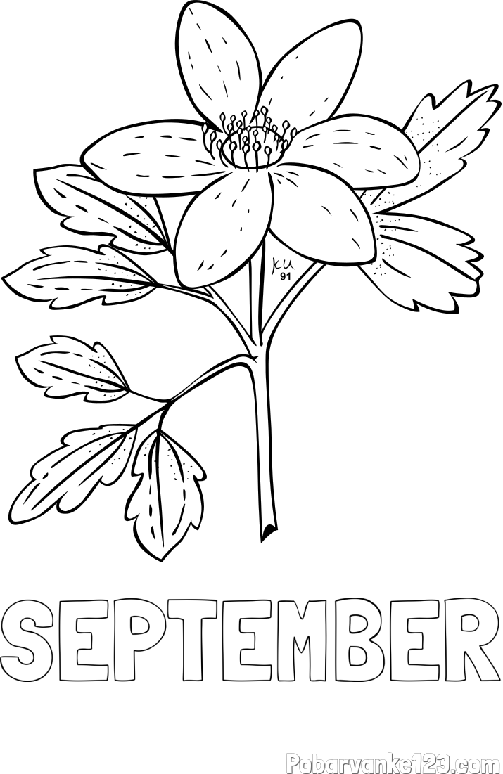 Pobarvanka imena SEPTEMBER in pobarvanka marjetice