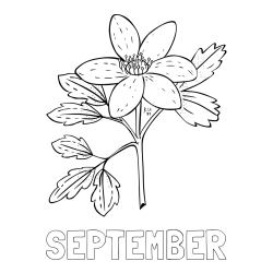 Online izdelana pobarvanka - Pobarvanka imena SEPTEMBER in pobarvanka marjetice