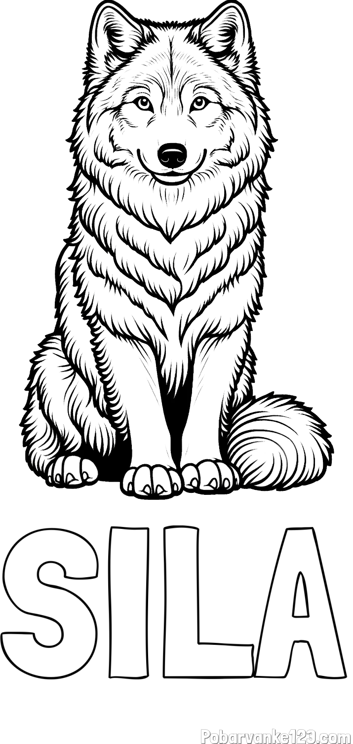 Pobarvanka imena ŠILA in pobarvanka prijaznega volka
