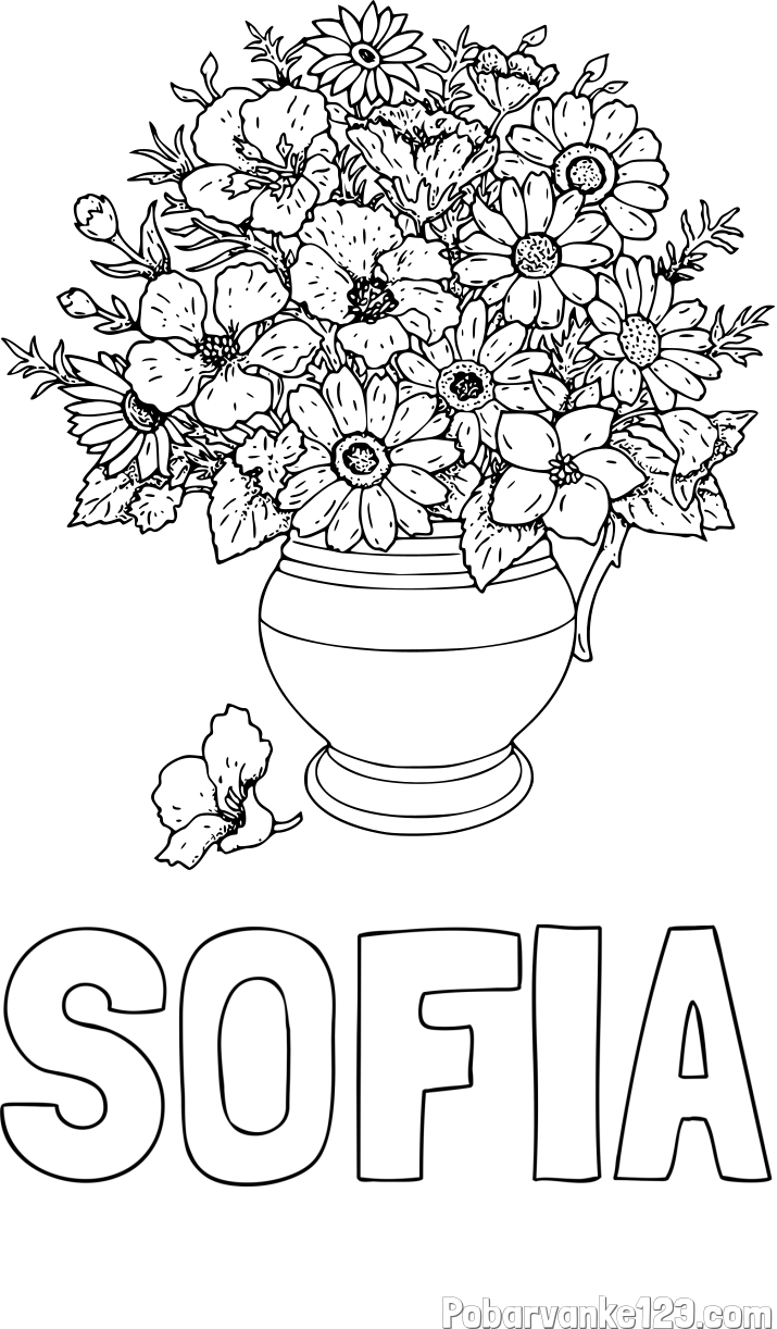 Pobarvanka imena SOFIA in pobarvanka cvetja v vazi