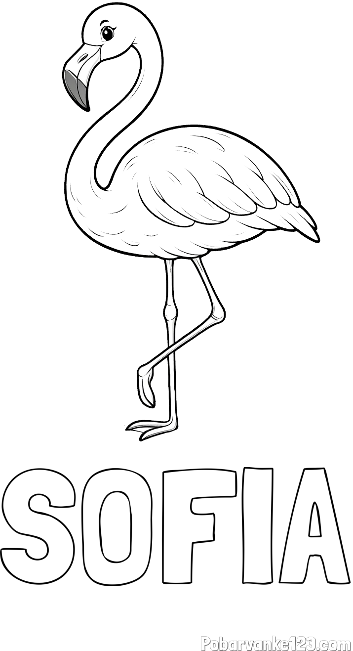 Pobarvanka imena SOFIA in pobarvanka flaminga